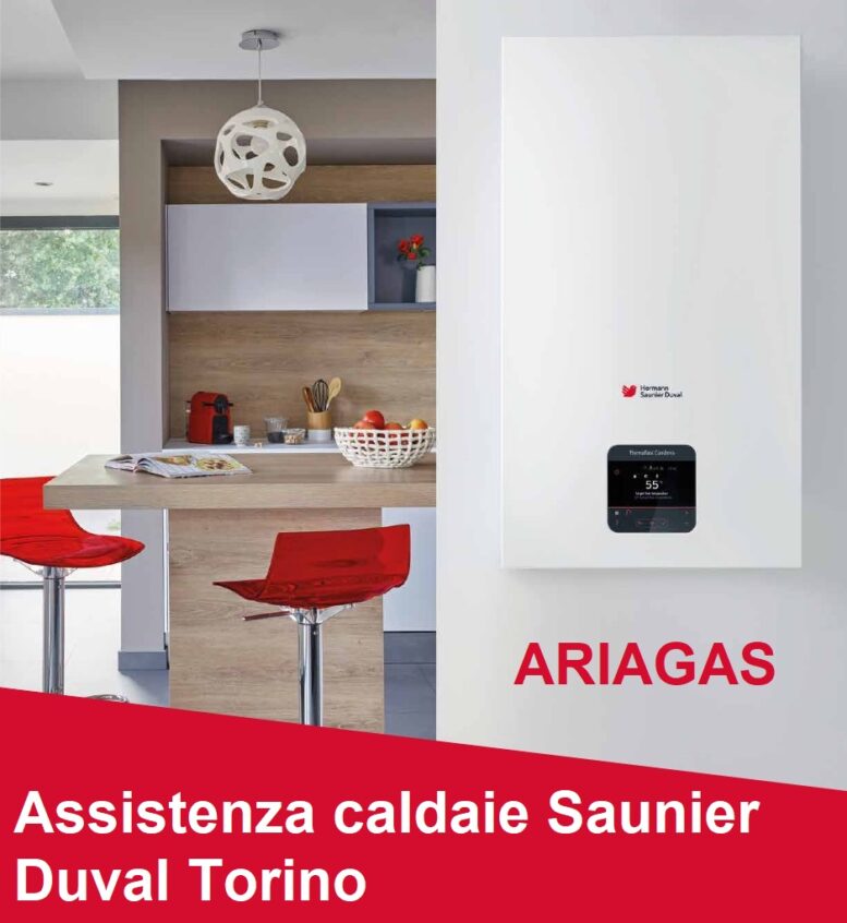 Assistenza Saunier duval Torino