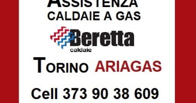 Assistenza caldaia Beretta Torino