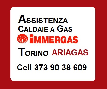 Assistenza Caldaie Immergas Torino