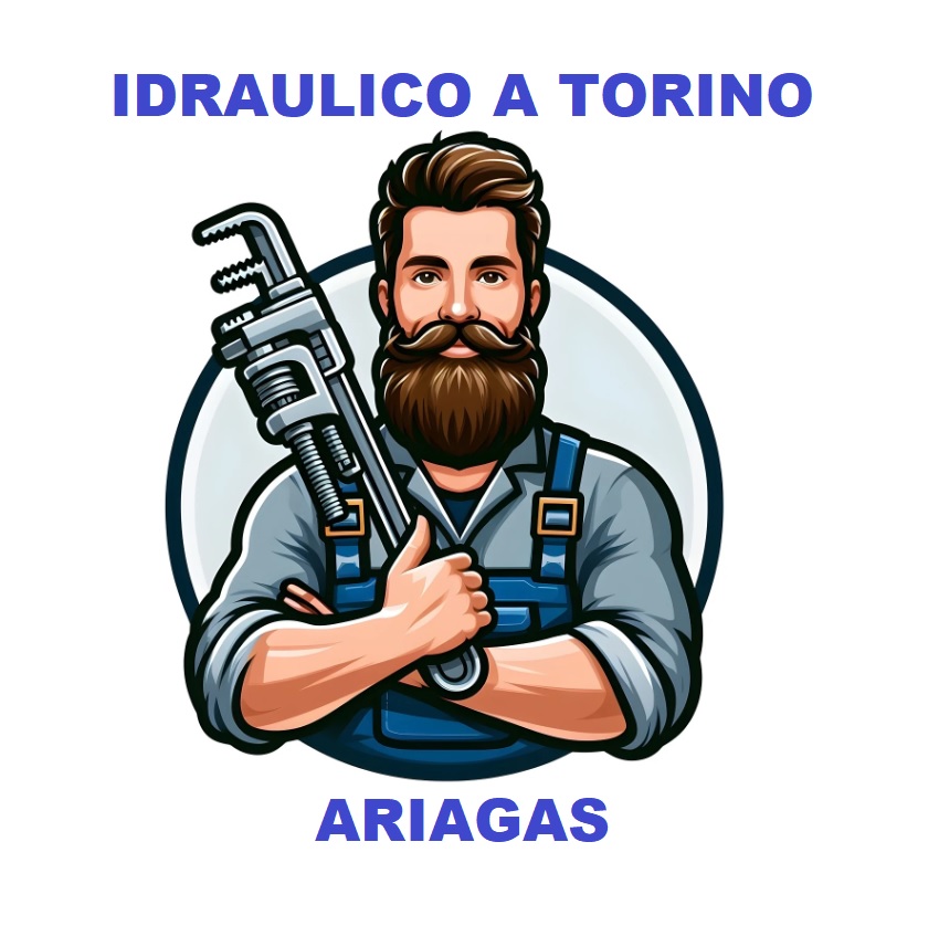 Idraulico Torino Ariagas