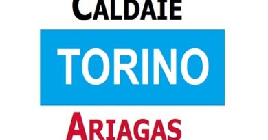 Assistenza Caldaie Torino