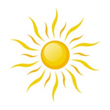sole