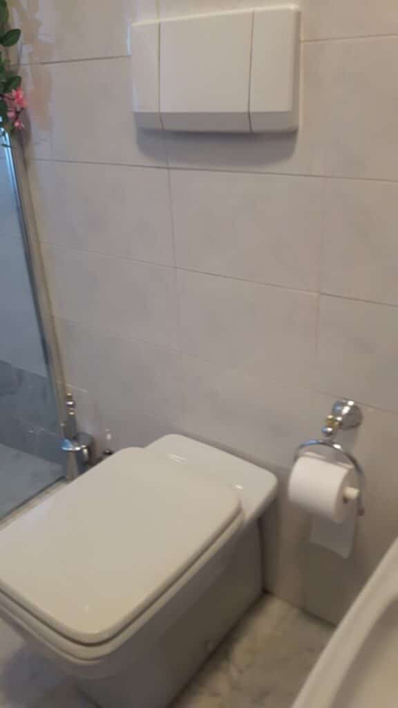 Sanitari danneggiati